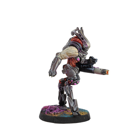 Infinity - Drakios - Team Achilles' Dragon
