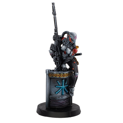 Infinity - Ninjas (Sniper/Hacker)