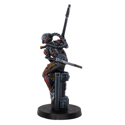 Infinity - Ninjas (Sniper/Hacker)